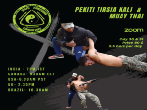 PTK & Muay Thai Webinar Poster