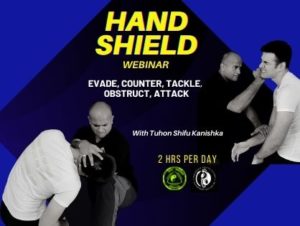 Hand Shield Webinar with Shifu demonstrating on Senior Instructor