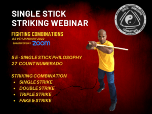 Single stick striking webinar